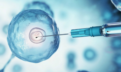 体外受精・不妊治療支援ソリューション