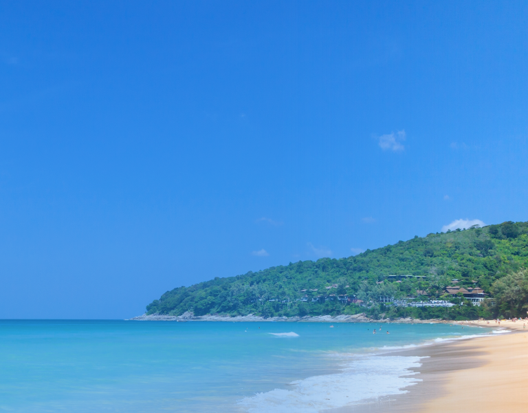 ケン・メディカル株式会社