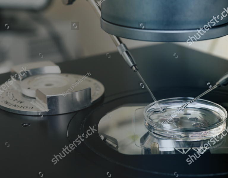 ケン・メディカル株式会社